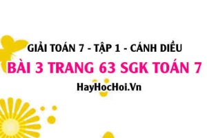 Giải bài 3 trang 63 Toán 7 Tập 1 SGK Cánh Diều